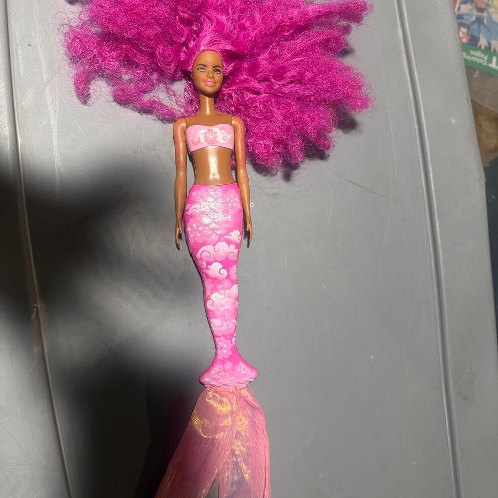 Barbie Pink Dolls-accessories